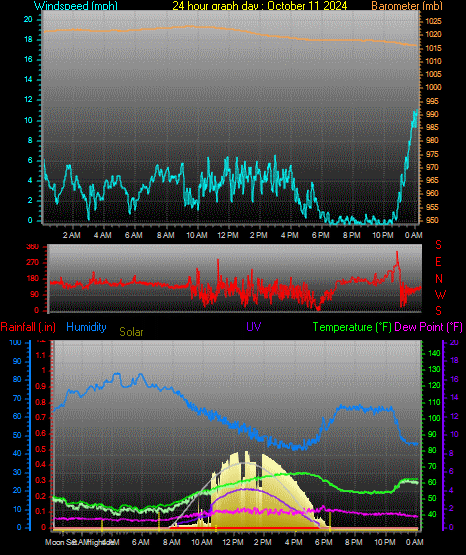 24 Hour Graph for Day 11