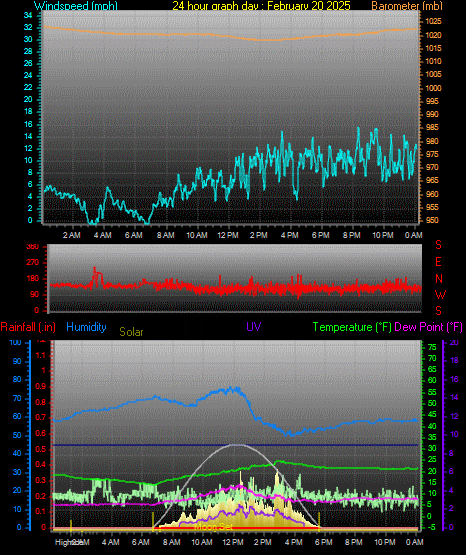 24 Hour Graph for Day 20